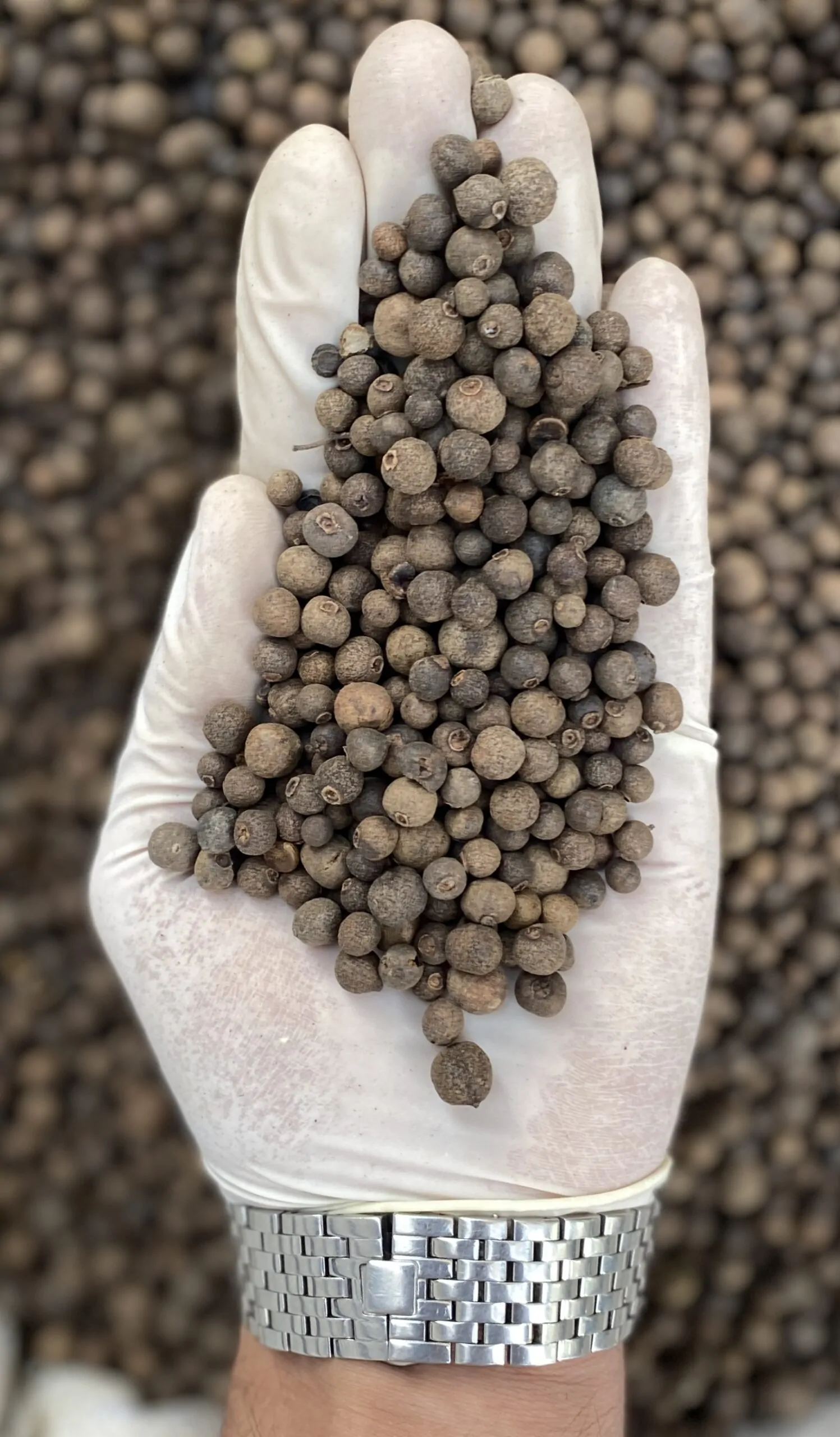 بهارفلفل یا آل اسپایس