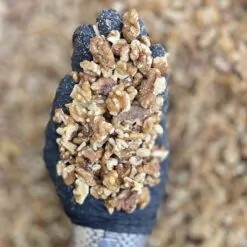 مغز گردو دندانه درجه یک بازرگانی براتی