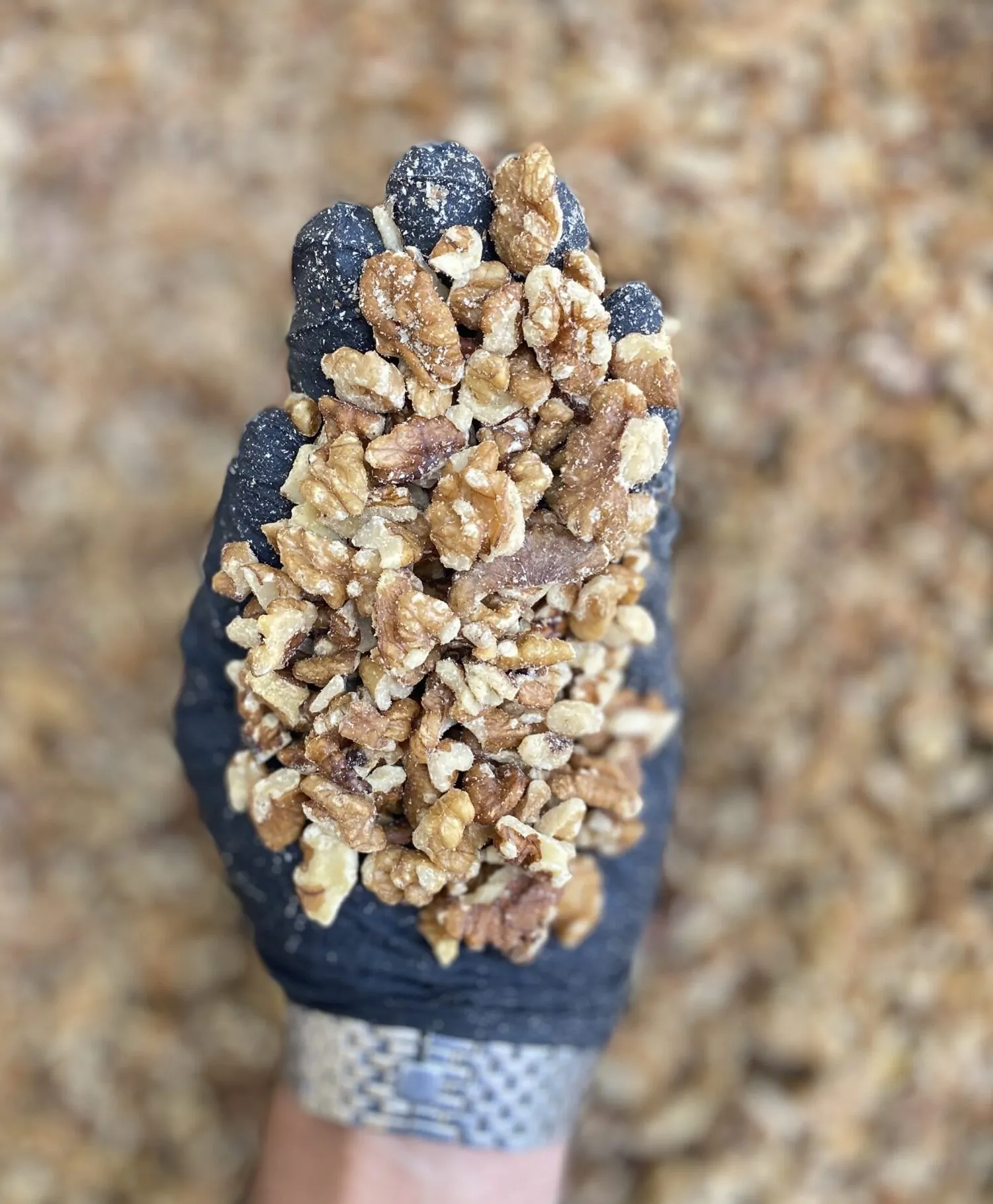 مغز گردو دندانه درجه یک بازرگانی براتی