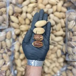 گردو پکان وانیلی بازرگانی براتی