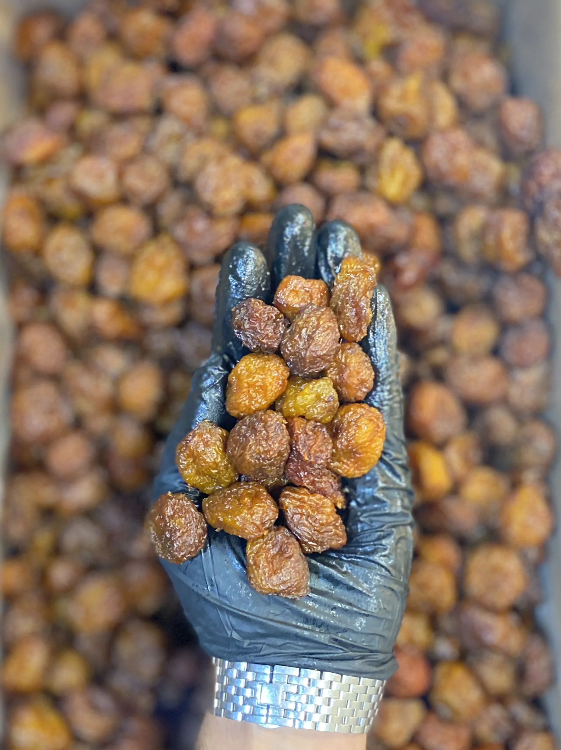 آلو طرقبه آفتابی بازرگانی براتی تمیز شده