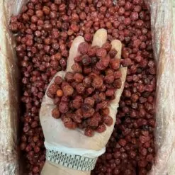 Alternative view of آلبالو قرمز