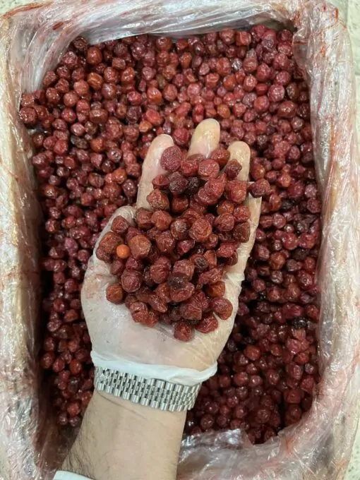 آلبالو قرمز 2 آلبالو قرمز - تصویر 2