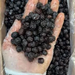 آلبالو سیاه