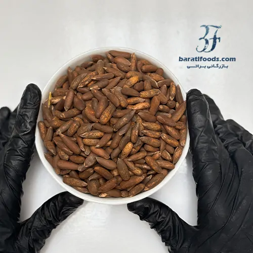 چلغوزه 3 چلغوزه - تصویر 3