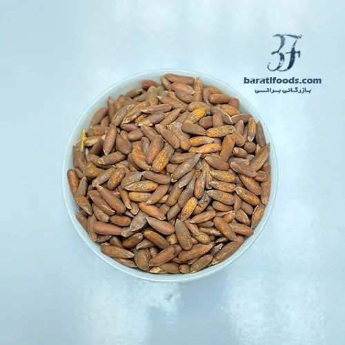 چلغوزه 1 چلغوزه